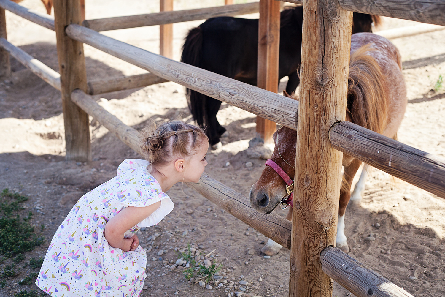 Babby Farms in Caldwell Idaho